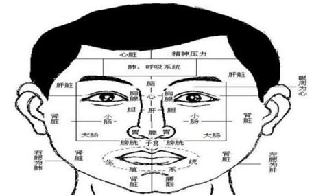 面相好的人|面相